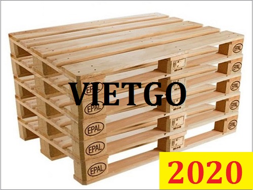 Cơ hội giao thương đặc biệt – Đơn hàng thường xuyên - Cơ hội xuất khẩu Pallet tiêu chuẩn Epal sang Ấn Độ