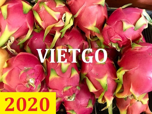 Cơ hội giao thương – Đơn hàng Cả Năm - Cơ hội xuất khẩu Thanh Long sang thị trường Campuchia