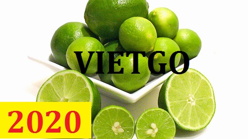 Cơ hội giao thương – Đơn hàng Cả Năm - Cơ hội xuất khẩu Chanh Xanh sang thị trường Thổ Nhĩ Kỳ