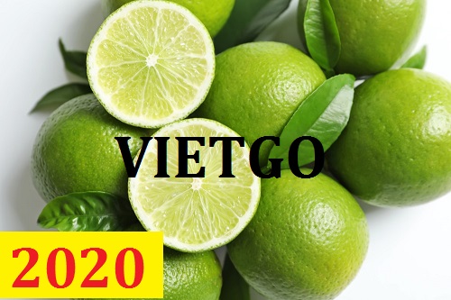 Cơ hội giao thương – Đơn hàng Cả Năm - Cơ hội xuất khẩu Chanh Xanh sang thị trường Thái Lan