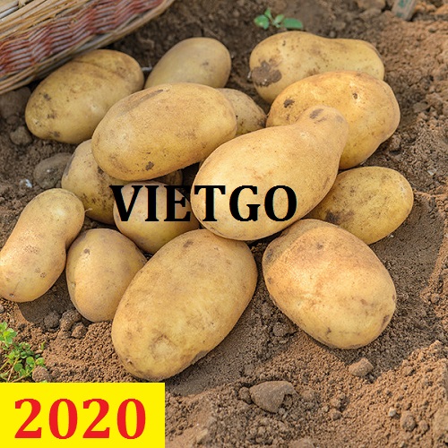 Cơ hội giao thương – Đơn hàng Thường Xuyên – Cơ hội xuất khẩu Khoai Tây sang thị trường Sri Lanka.