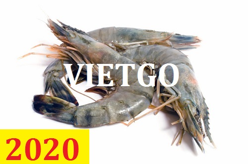 Cơ hội giao thương – Đơn hàng Cả Năm – Cơ hội xuất khẩu Tôm sú thương phẩm sang thị trường Thổ Nhỹ Kỳ