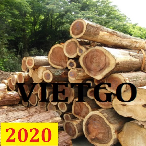 Cơ Hội Giao Thương - Đơn Hàng Thường Xuyên – Cơ Hội Xuất Khẩu Gỗ teak tròn  Sang Thị Trường Ấn Độ