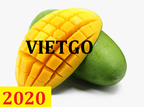 Cơ hội giao thương – Đơn hàng Cả Năm - Cơ hội xuất khẩu Quả Xoài sang thị trường Campuchia