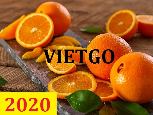 Cơ hội giao thương – Đơn hàng Cả Năm - Cơ hội xuất khẩu Quả Cam sang thị trường Bangladesh