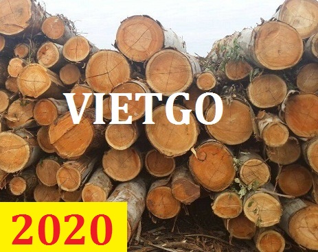 (Gấp) Cơ Hội Giao Thương - Đơn Hàng Thường Xuyên – Cơ Hội Xuất Khẩu Gỗ Bạch Đàn Tròn Sang Thị Trường Ai Cập.