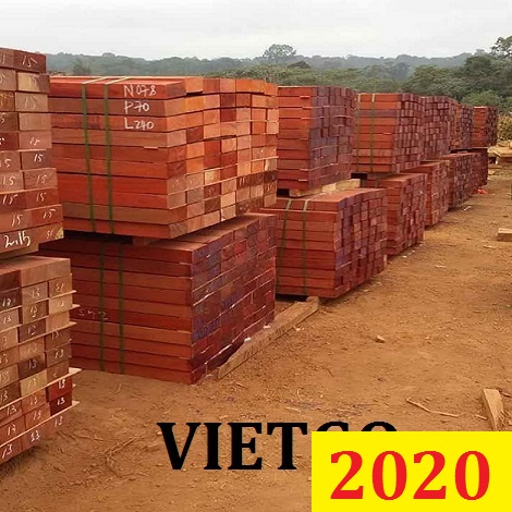 Cơ Hội Giao Thương Đặc Biệt - Đơn Hàng Thường Xuyên – Cơ Hội Xuất Khẩu Gỗ Hương Xẻ Sang Thị Trường Ấn Độ.