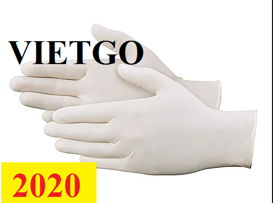 Cơ hội giao thương -  Đơn hàng thường xuyên - Cơ hội xuất khẩu găng tay cao su đến thị trường Ấn Độ