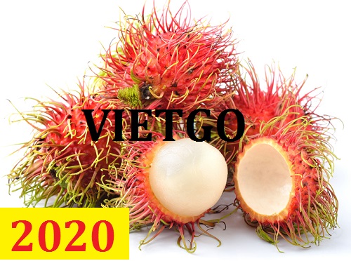 Cơ hội giao thương – Đơn hàng Cả Năm - Cơ hội xuất khẩu Chôm Chôm sang thị trường Ấn Độ