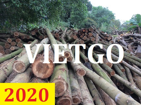 Cơ Hội Giao Thương - Đơn Hàng Thường Xuyên – Cơ Hội Xuất Khẩu Gỗ Keo Tròn Sang Thị Trường Oman.