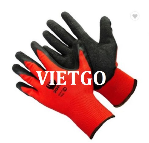 Cơ hội giao thương – Cơ hội xuất khẩu găng tay lao động sang thị trường Ấn Độ
