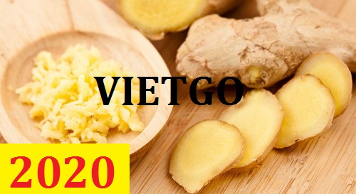 Cơ hội giao thương – Đơn hàng Cả Năm - Cơ hội xuất khẩu Gừng sang thị trường Anh
