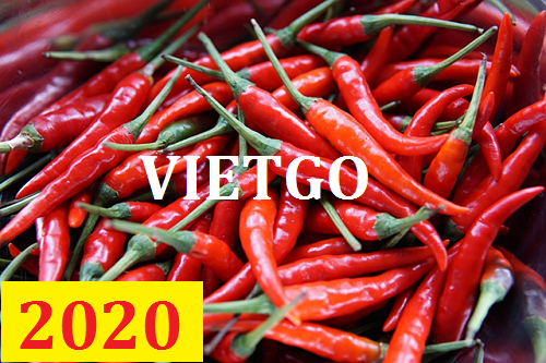 Cơ hội giao thương – Đơn hàng Cả Năm - Cơ hội xuất khẩu Ớt sang thị trường Anh