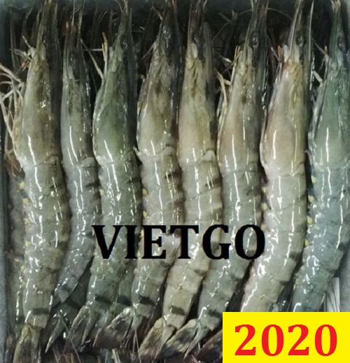 Cơ hội giao thương – Đơn hàng Đặc Biệt Thường xuyên - Cơ hội xuất khẩu Tôm Sú sang thị trường Albania