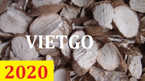 Cơ hội giao thương – Đơn hàng Cả Năm - Cơ hội xuất khẩu Sắn Lát sang thị trường Trung Quốc