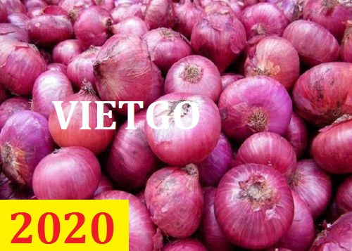 Cơ hội giao thương – Đơn hàng thường xuyên - Cơ hội xuất khẩu hành tím sang thị trường Bangladesh.