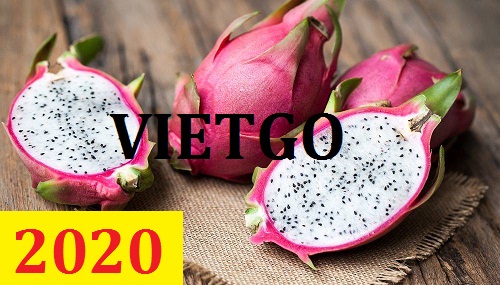 Cơ hội giao thương – Đơn hàng thường xuyên - Cơ hội cung cấp Thanh Long cho một doanh nghiệp tại Dubai
