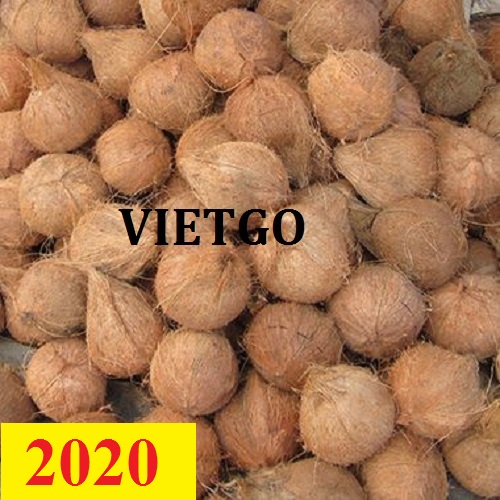 Cơ hội giao thương – Đơn hàng Thường Xuyên - Cơ hội xuất khẩu Quả Dừa sang thị trường Nhật Bản