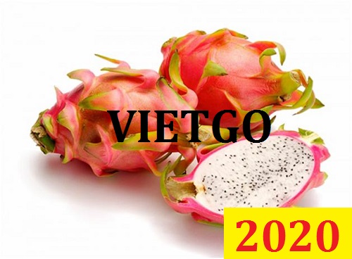 Cơ hội giao thương Đặc Biệt – Đơn hàng Cả Năm - Cơ hội xuất khẩu Thanh Long sang thị trường Bangladesh