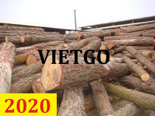 Cơ hội giao thương – Đơn hàng thường xuyên - Cơ hội xuất khẩu Gỗ thông tròn đến từ vị khách hàng người Ấn Độ