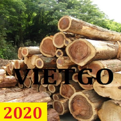 Cơ hội giao thương – Đơn hàng thường xuyên - Cơ hội xuất khẩu Gỗ teak tròn đến từ vị khách hàng người Ấn Độ