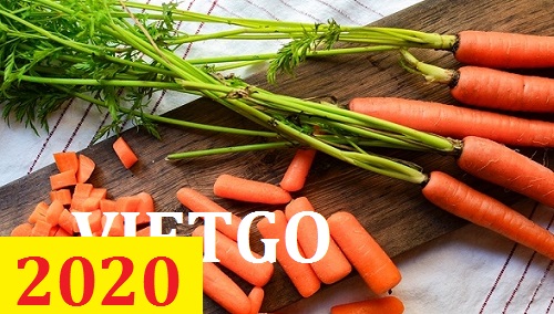 Cơ hội giao thương – Đơn hàng Thường Xuyên - Cơ hội xuất khẩu Cà Rốt sang thị trường Nhật Bản
