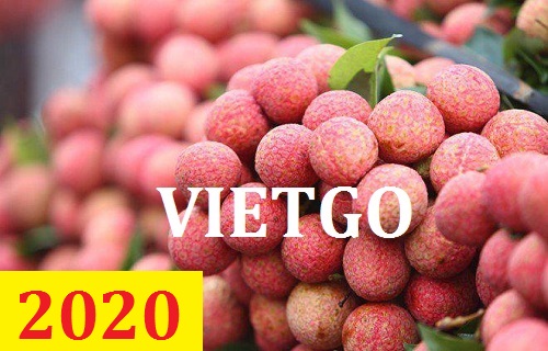 Cơ hội giao thương – Đơn hàng Cả Năm - Cơ hội xuất khẩu Vải ngọt sang thị trường Anh