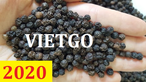 Cơ hội giao thương – Đơn hàng thường xuyên - Cơ hội cung cấp Tiêu đen cho một doanh nghiệp tại Dubai