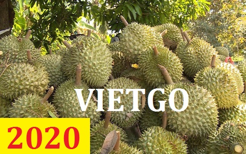 Cơ hội giao thương – Đơn hàng Cả Năm - Cơ hội xuất khẩu Sầu Riêng sang thị trường Trung Quốc