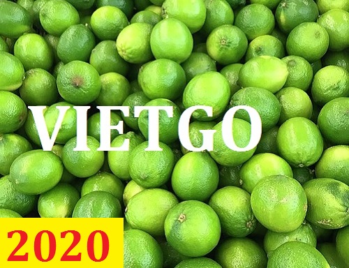 Cơ hội giao thương – Đơn hàng Thường Xuyên - Cơ hội xuất khẩu Chanh Xanh sang thị trường UAE