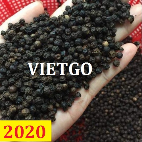 Cơ  hội giao thương – Đơn hàng thường xuyên - Cơ hội xuất khẩu Tiêu đen đến thị trường Ai Cập.