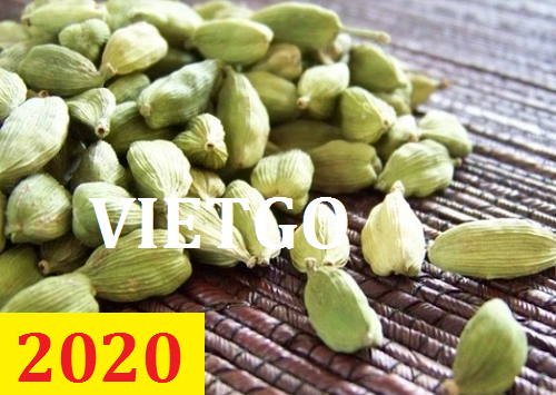 Cơ hội giao thương – Đơn hàng thường xuyên – Cơ hội xuất khẩu Thảo quả sang thị trường Iran