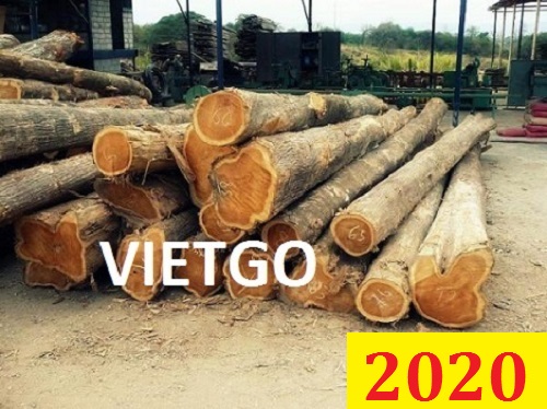Cơ Hội Giao Thương Đặc Biệt - Đơn Hàng Thường Xuyên – Cơ Hội Xuất Khẩu Gỗ Teak Tròn Sang Thị Trường Ấn Độ.