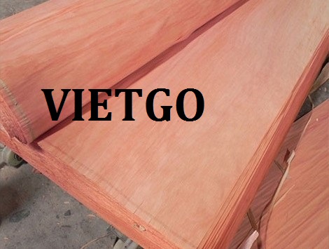 Cơ hội giao thương đặc biệt - Cơ hội xuất khẩu ván bóc gỗ dầu đến từ vị khách hàng Malaysia