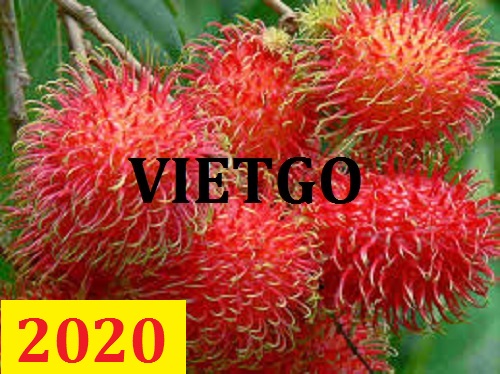 Cơ hội giao thương – Đơn hàng thường xuyên – Cơ hội xuất khẩu Chôm Chôm sang thị trường Hà Lan.
