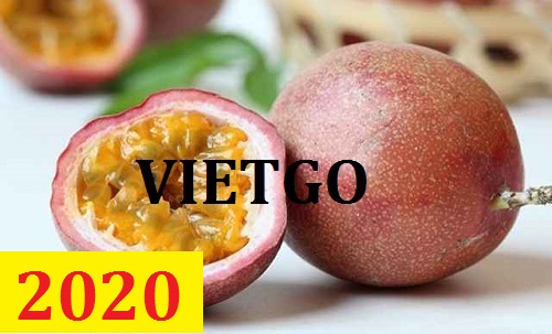 Cơ hội giao thương – Đơn hàng thường xuyên – Cơ hội xuất khẩu Chanh dây sang thị trường Hà Lan.