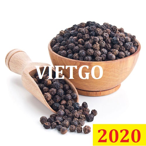 Cơ hội giao thương Đặc Biệt – Đơn hàng Thường Xuyên - Cơ hội xuất khẩu Tiêu Đen sang thị trường Mauritania