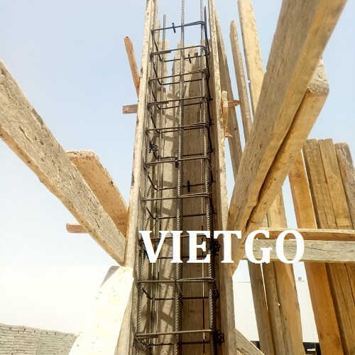Cơ hội giao thương - Cơ hội xuất khẩu Gỗ thông xẻ đến từ vị khách hàng người Ai Cập
