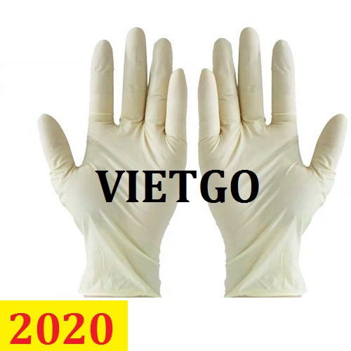 Cơ hội giao thương – Đơn hàng Thường xuyên - Cơ hội xuất khẩu Găng tay cao su sang thị trường Trung Quốc