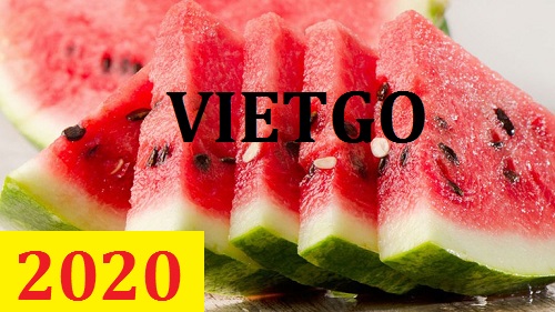 Cơ hội giao thương – Đơn hàng Thường Xuyên - Cơ hội xuất khẩu Dưa Hấu sang thị trường Ấn Độ