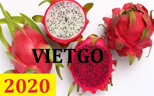 Cơ hội giao thương – Đơn hàng Thường Xuyên - Cơ hội xuất khẩu Thanh Long sang thị trường Ấn Độ