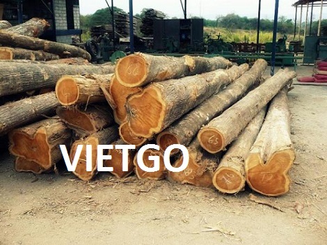 Cơ Hội Giao Thương - Cơ Hội Xuất Khẩu Gỗ Teak Tròn Sang Thị Trường Ấn Độ.