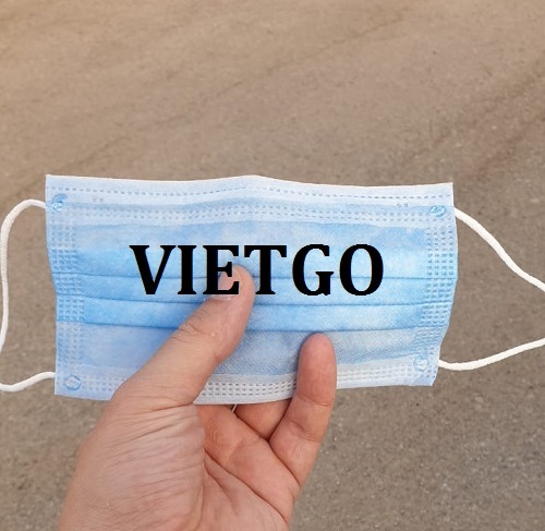 Cơ hội giao thương đặc biệt - Cơ hội xuất khẩu khẩu trang dùng một lần sang Ai Cập