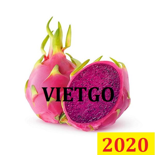 Cơ hội giao thương MIỄN PHÍ – Đơn hàng Đặc Biệt Cả Năm – Cơ hội xuất khẩu Qủa thanh long ruột đỏ  sang thị trường Mỹ và Nhật vô cùng tiềm năng