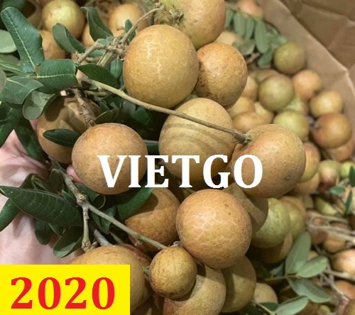 Cơ hội giao thương – Đơn hàng thường xuyên – Cơ hội xuất khẩu Nhãn sang thị trường Hà Lan.