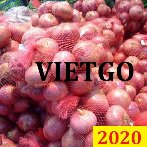 Cơ hội giao thương – Đơn hàng đặc biệt thường xuyên – Cơ hội xuất khẩu 1 container Hành sang thị trường Hy Lạp.