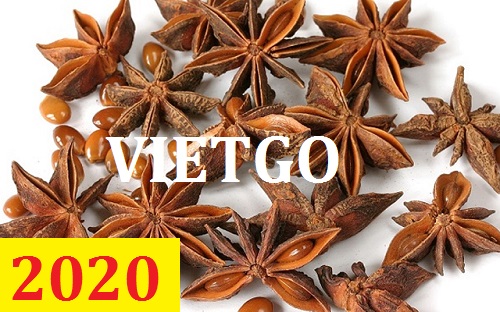 Cơ hội giao thương – Đơn hàng Thường Xuyên - Cơ hội xuất khẩu Hoa Hồi sang thị trường Ấn Độ