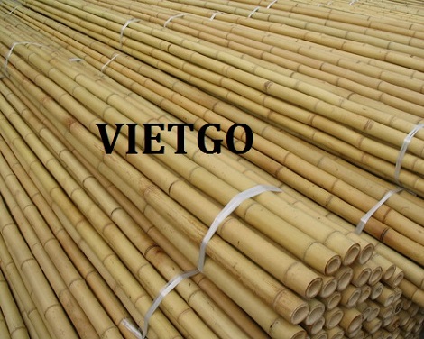Cơ hội giao thương – Cơ hội xuất khẩu Gậy Tre sang thị trường Đức