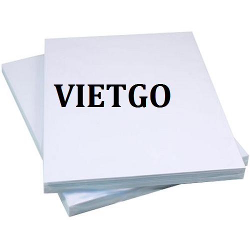Cơ hội giao thương – Cơ hội xuất khẩu giấy A4 sang thị trường Ấn Độ