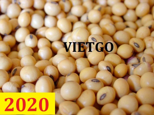 Cơ hội giao thương – Đơn hàng Cả Năm - Cơ hội xuất khẩu Đậu Nành sang thị trường Ý